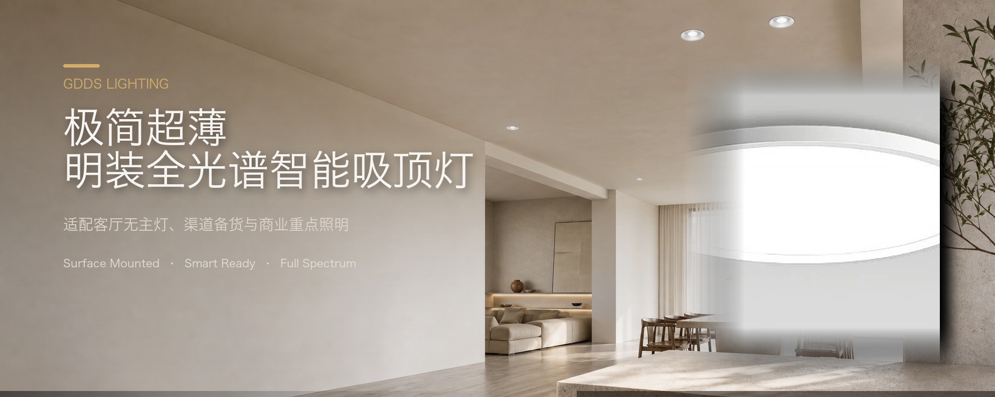 全铝吸顶灯超薄护眼全光谱圆形悬浮LED卧室书房客厅明装极简智能