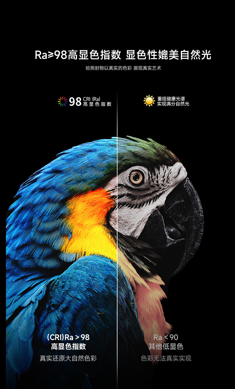 包豪斯明装射灯不锈钢银色客厅家用洗墙吸顶式可调节角度防眩灯