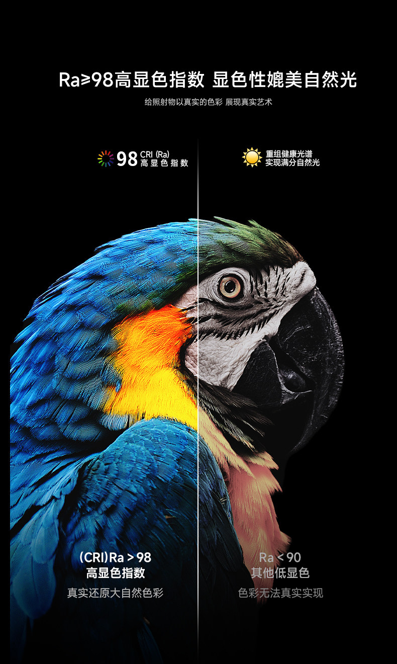 卧室床头吊灯包豪斯不锈钢色孟菲斯红色创意小吊灯聚光洗墙氛围感